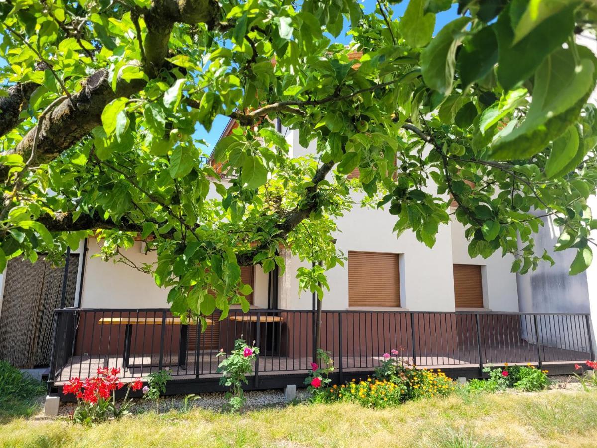 Casa Julio, Bonita Casa Comoda Y Espaciosa, Totalmente Reformada Con Terraza Y Jardin Privado Riezu 外观 照片